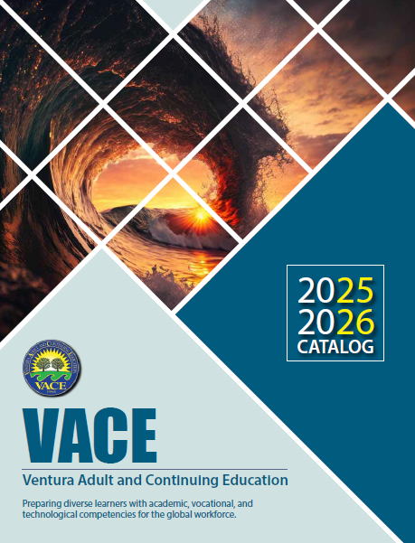 Vace Catalog